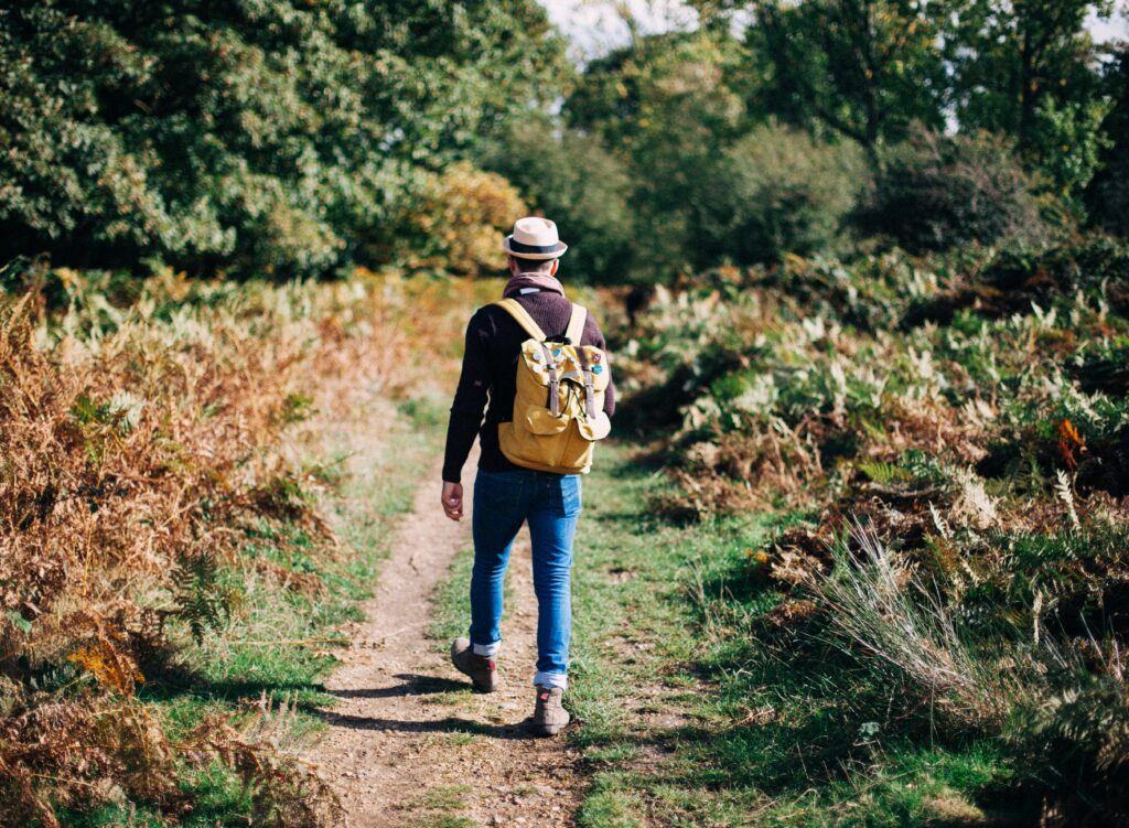 Image of person hiking in the woods